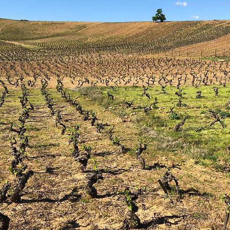 Boutique Finca Esencial Villafranca Del Bierzo Bagian luar foto