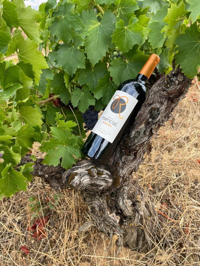 Boutique Finca Esencial Villafranca Del Bierzo Bagian luar foto