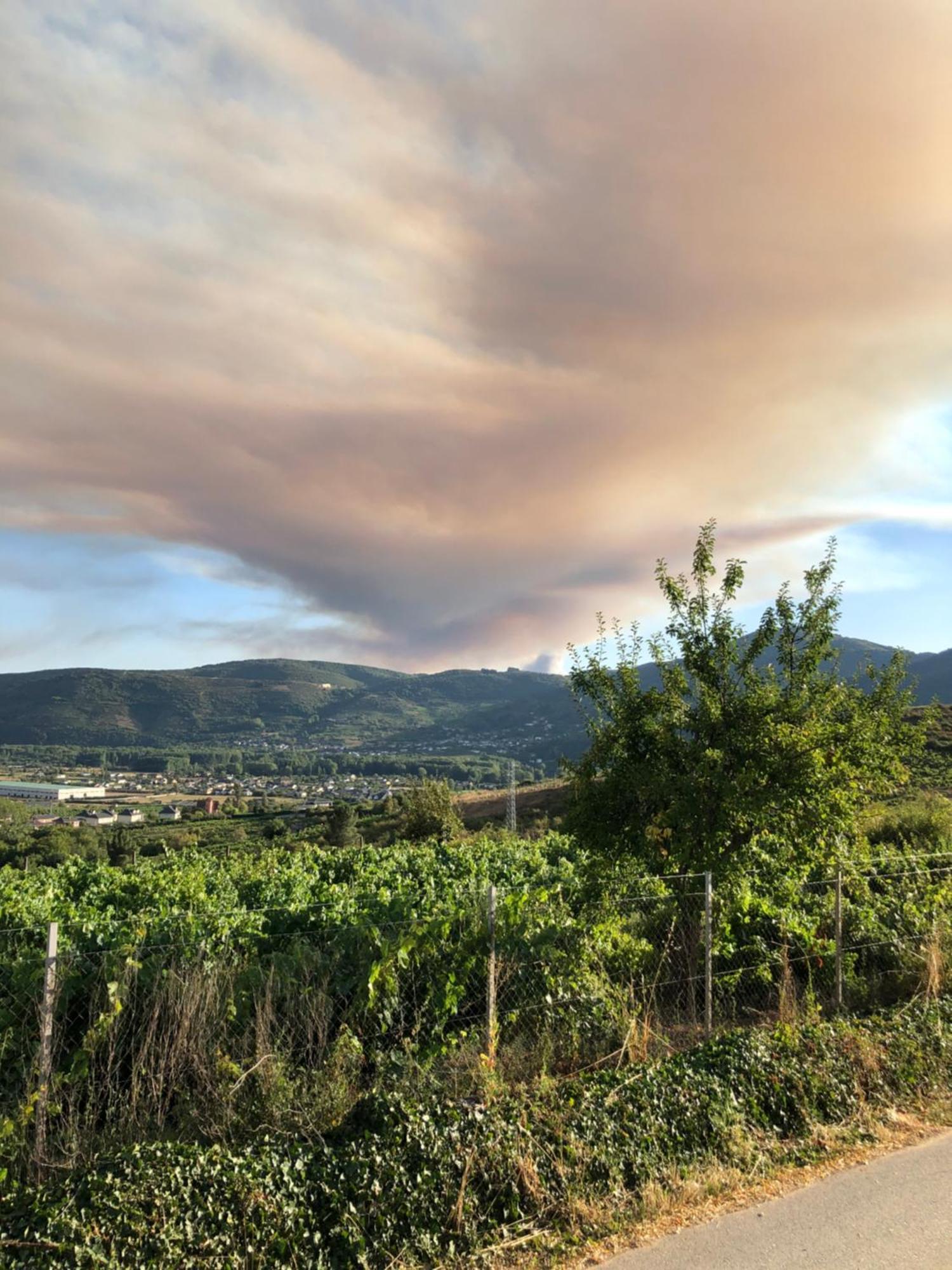 Boutique Finca Esencial Villafranca Del Bierzo Bagian luar foto