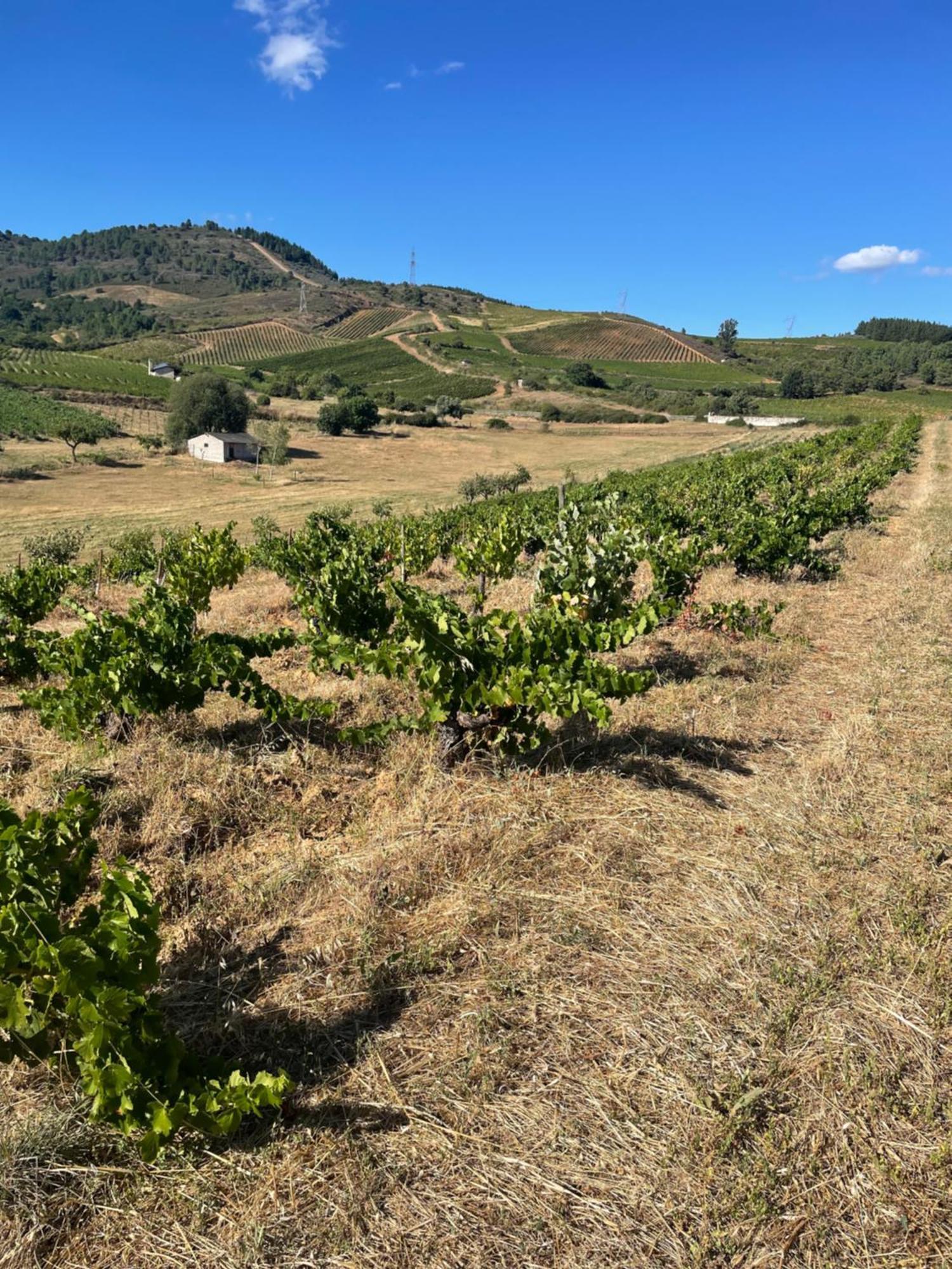 Boutique Finca Esencial Villafranca Del Bierzo Bagian luar foto