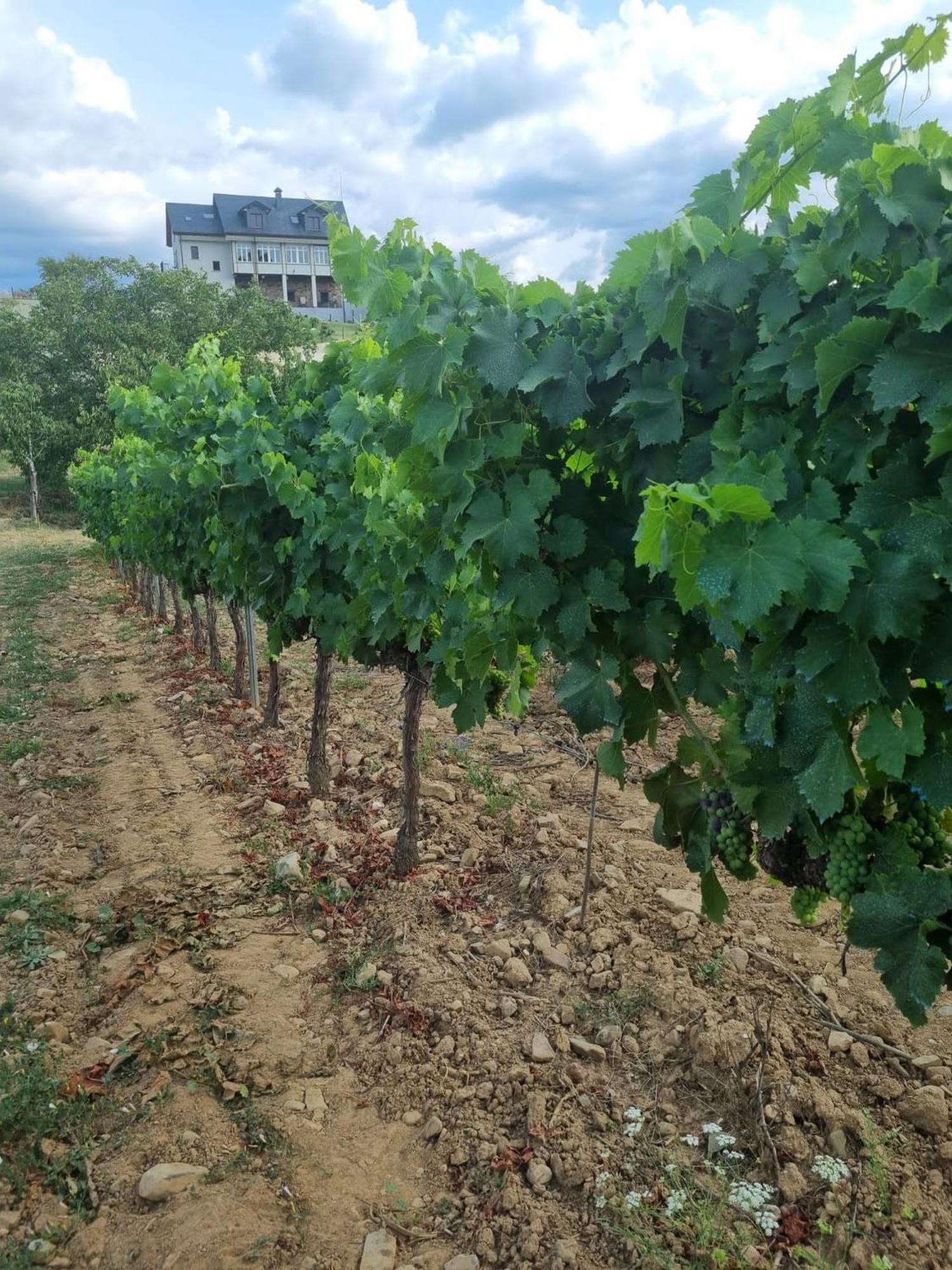 Boutique Finca Esencial Villafranca Del Bierzo Bagian luar foto
