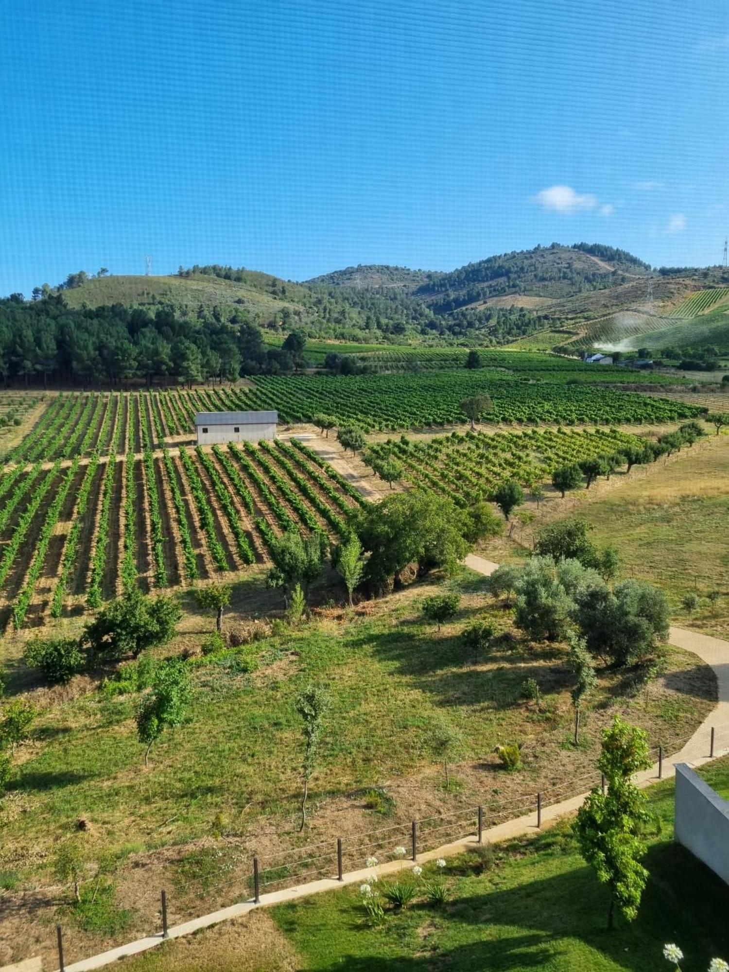 Boutique Finca Esencial Villafranca Del Bierzo Bagian luar foto