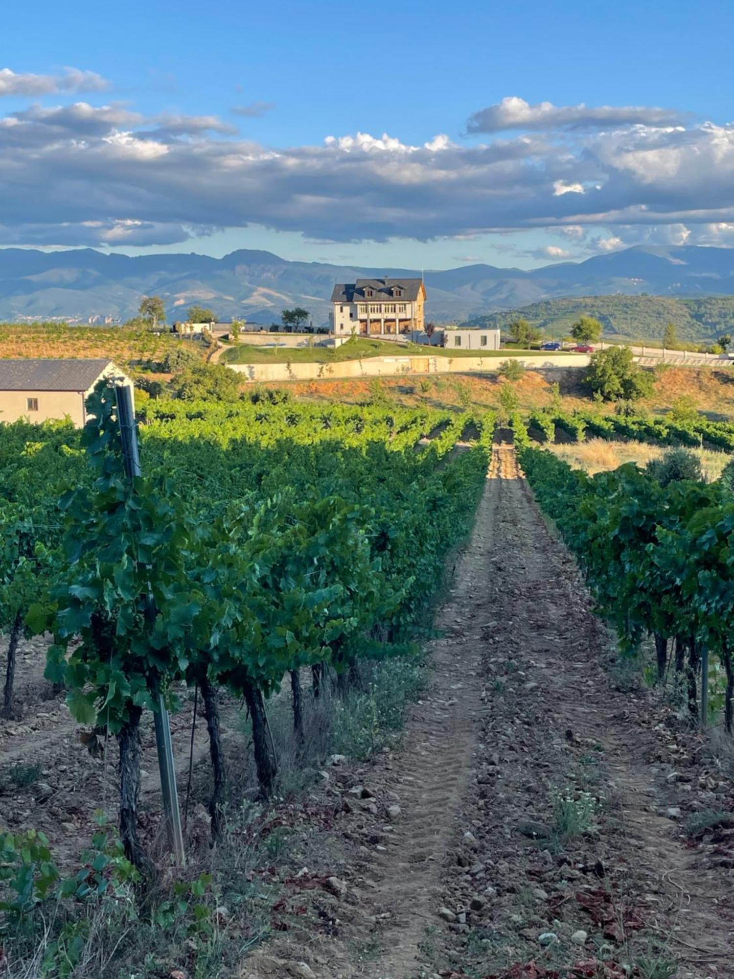 Boutique Finca Esencial Villafranca Del Bierzo Bagian luar foto